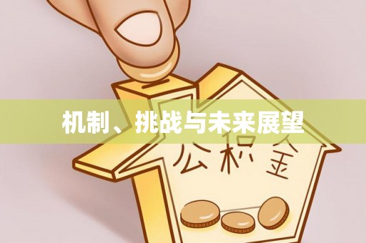 连云港机制、挑战与未来展望
